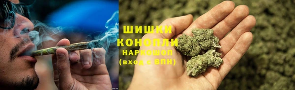 СК Аркадак