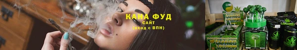 СК Аркадак