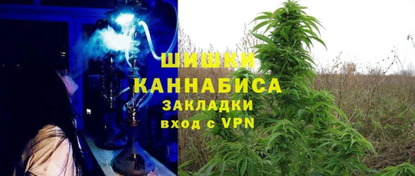 СК Аркадак